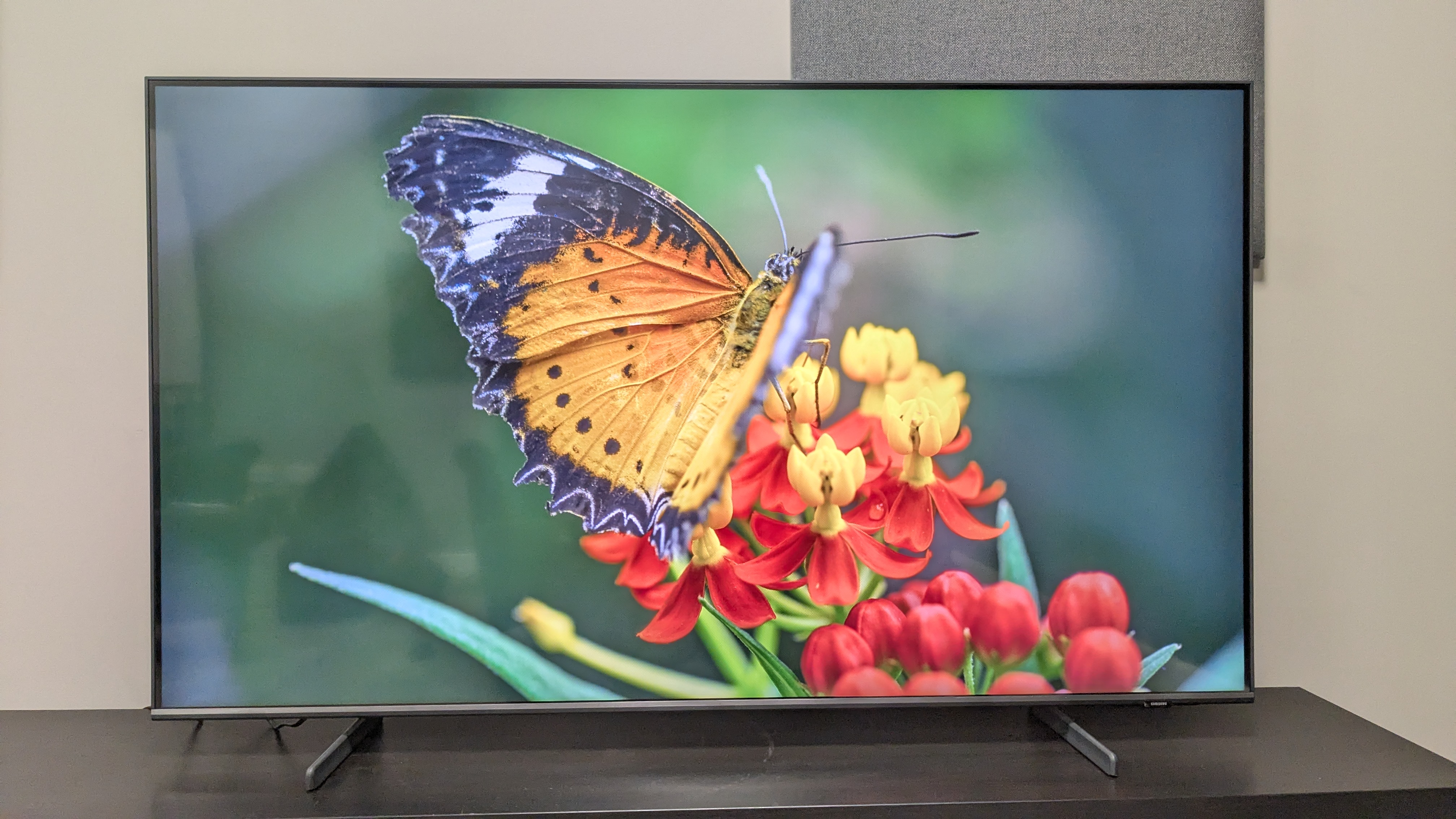 Samsung Q60D with orange butterfly on screen