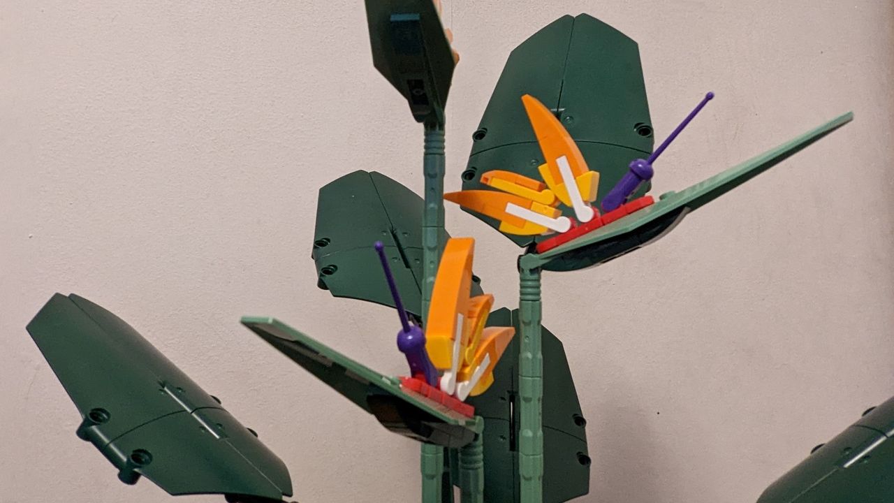 Lego Icons Bird of Paradise 10289_close up of flowers