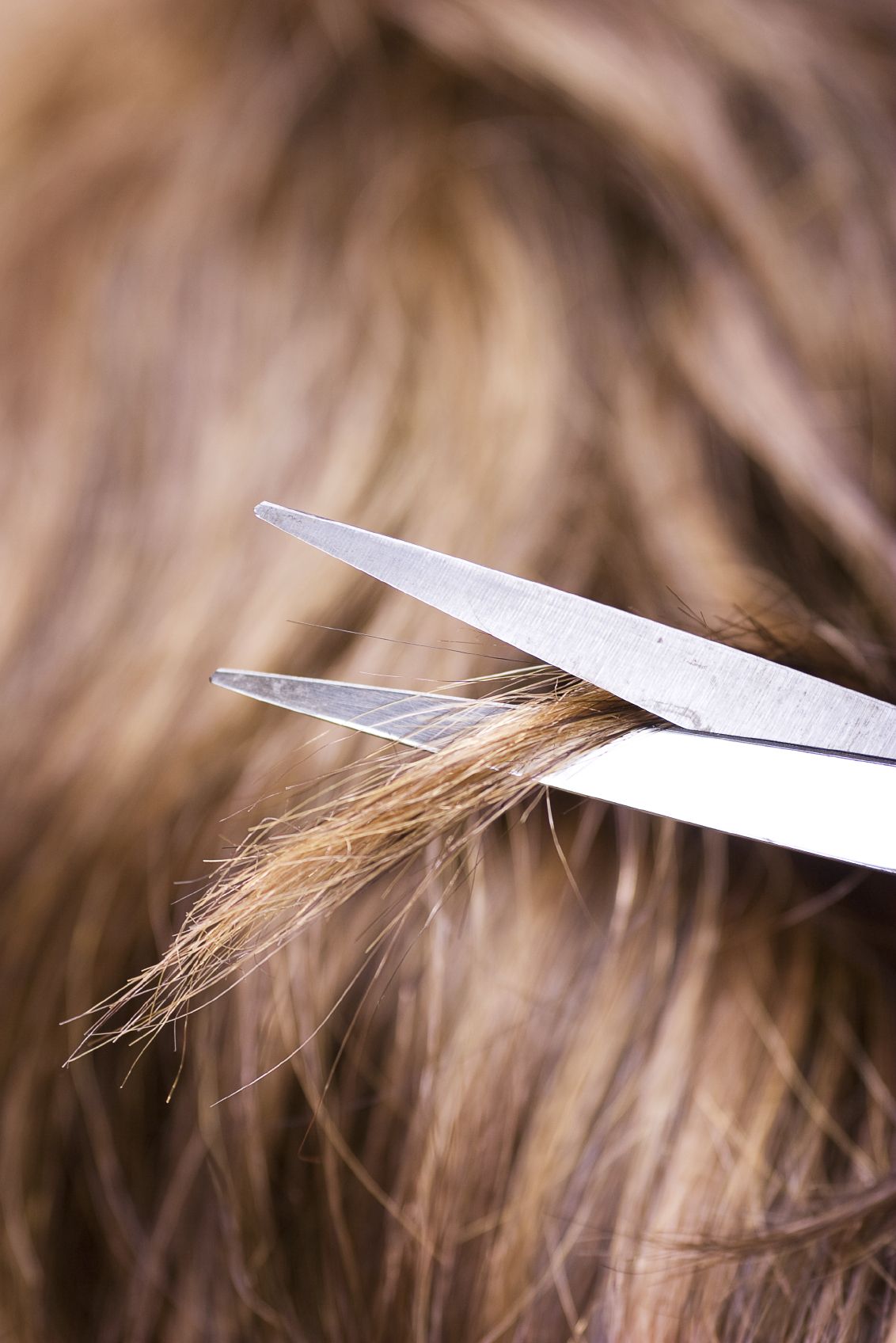 A controversial haircut. 