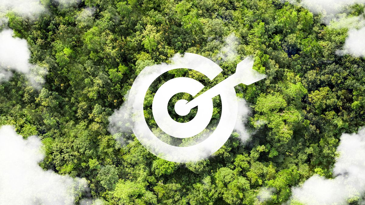 Bird&#039;s eye view of white sustainability target symbol in the middle of the rainsfoest with cloads around edges of frame