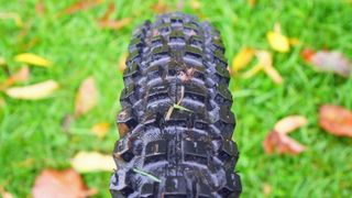 Continental Kryptotal Trail rear tire with a grass background