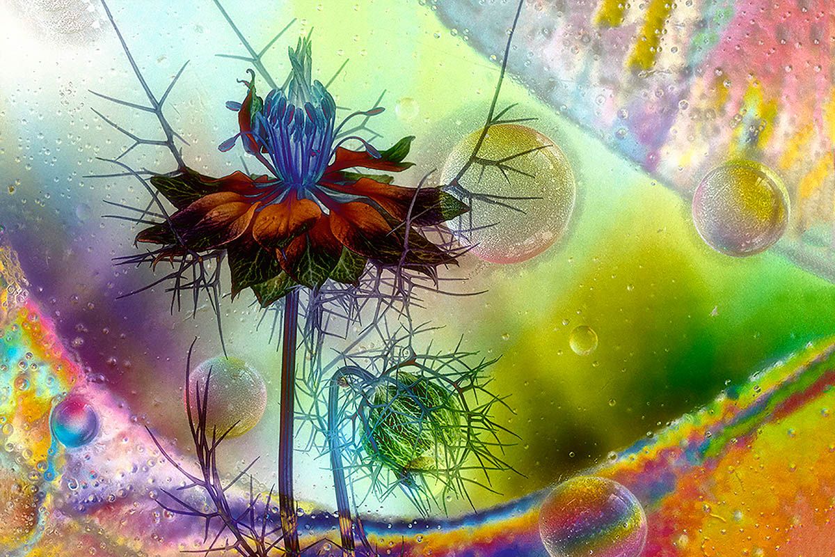 Category: Abstract Views