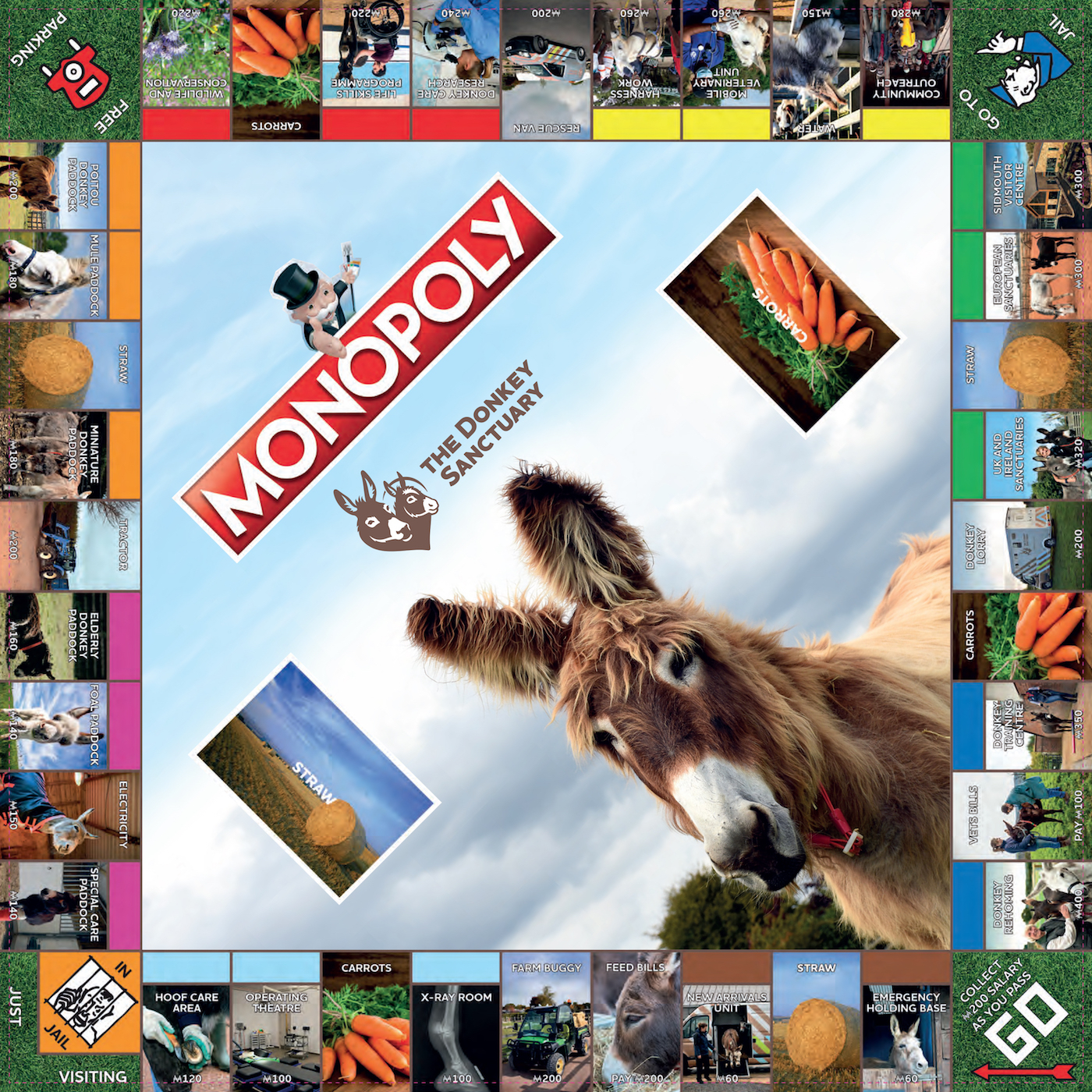 DonkeyMonopoly.jpg