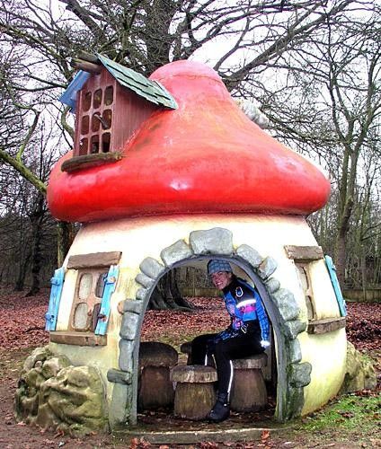 The smurf house