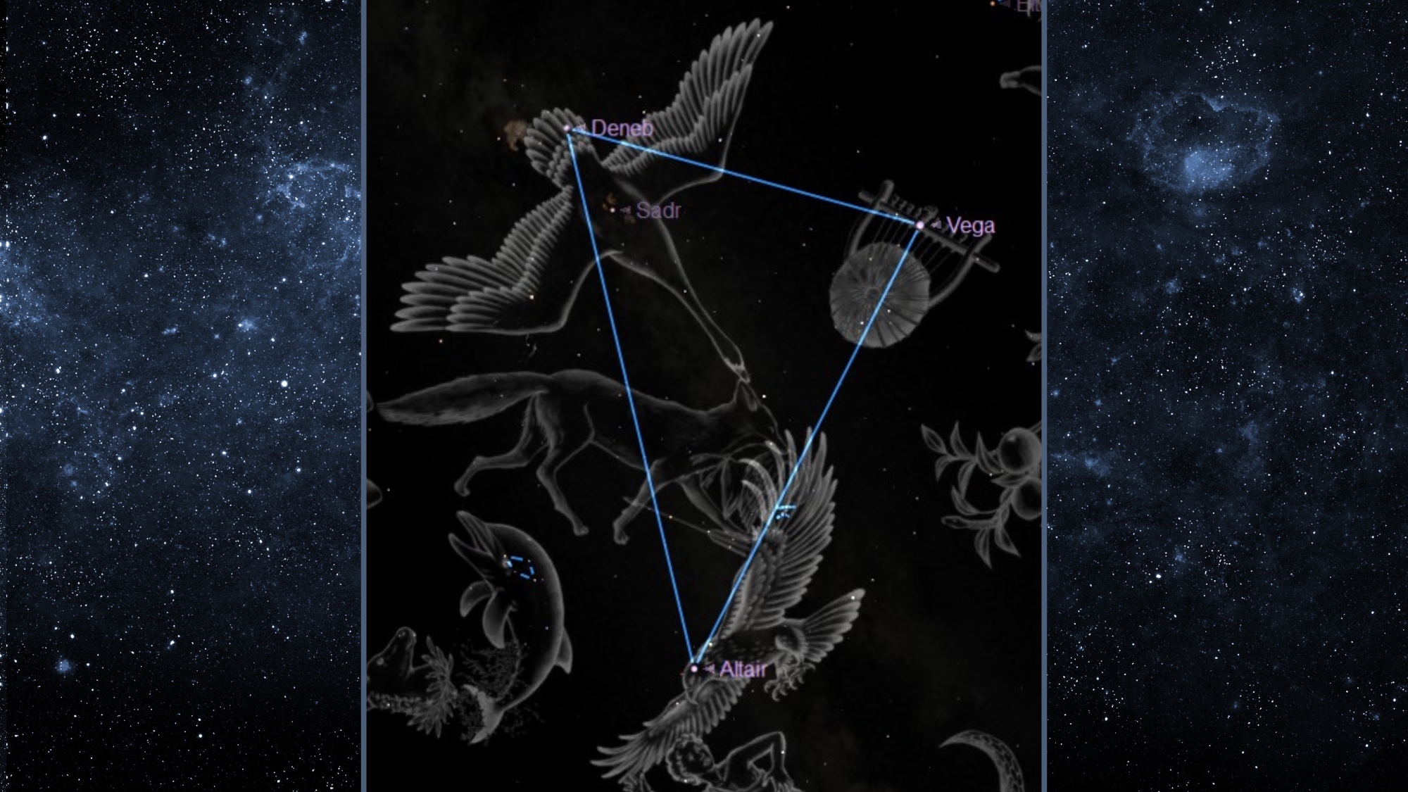 night sky graphic showing the three stars that make up the summer triangle, vega, deneb and altair.