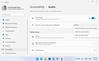 Windows 11 accessibility options