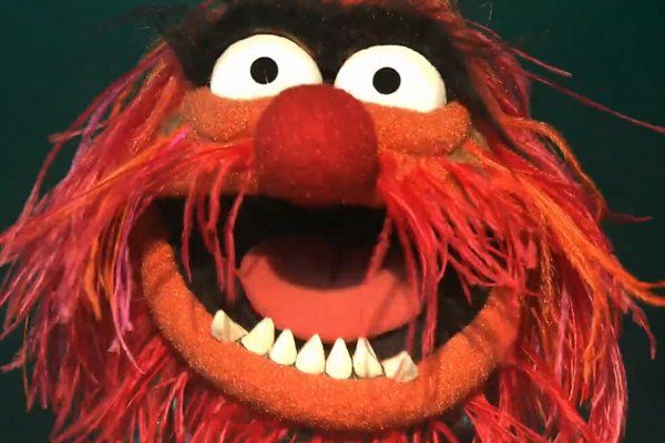 The Top 25 Muppet Characters, Ranked | Cinemablend