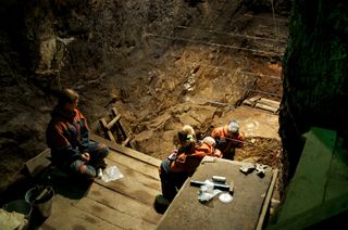 Denisova Cave discoveries