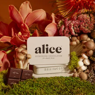 Alice Mushrooms, Brainstorm Functional Mushroom Chocolates