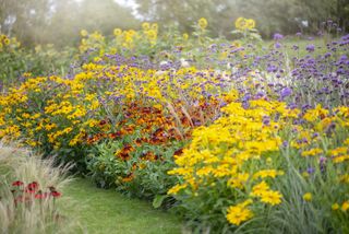 A plant bed in bright color schemes