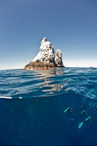 Marine Life in Mexico