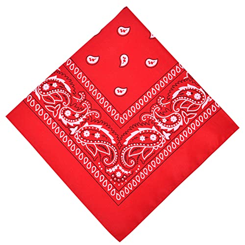 Aomig Bandana Head Scarf for Men and Women