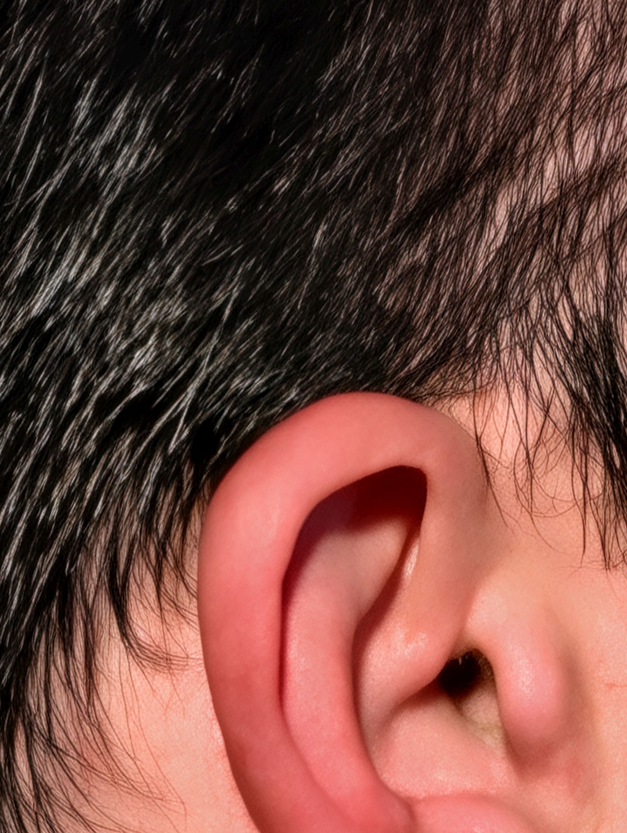 Google Pixel 10 Pro XL Pro Res Zoom sample.