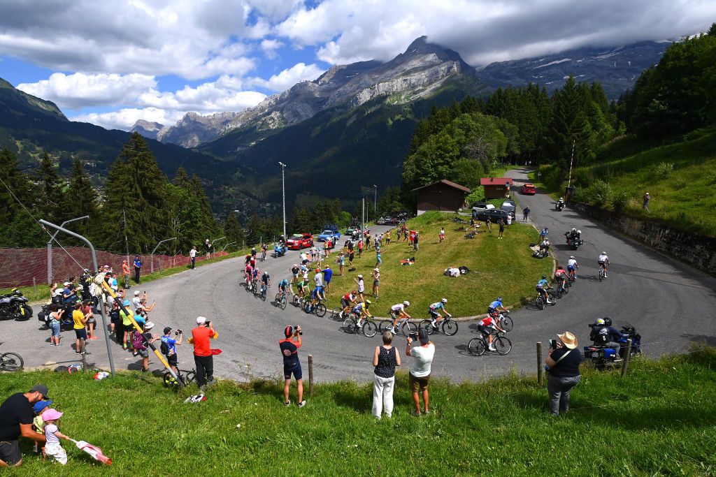 Peloton of the 2022 Tour de France