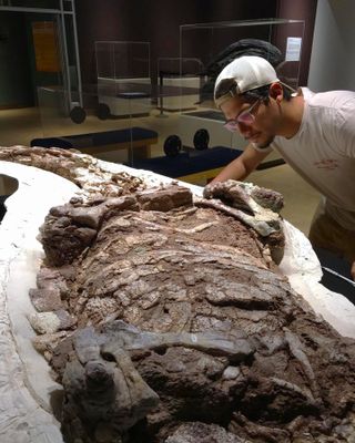 man in a cap leans over a large fossil