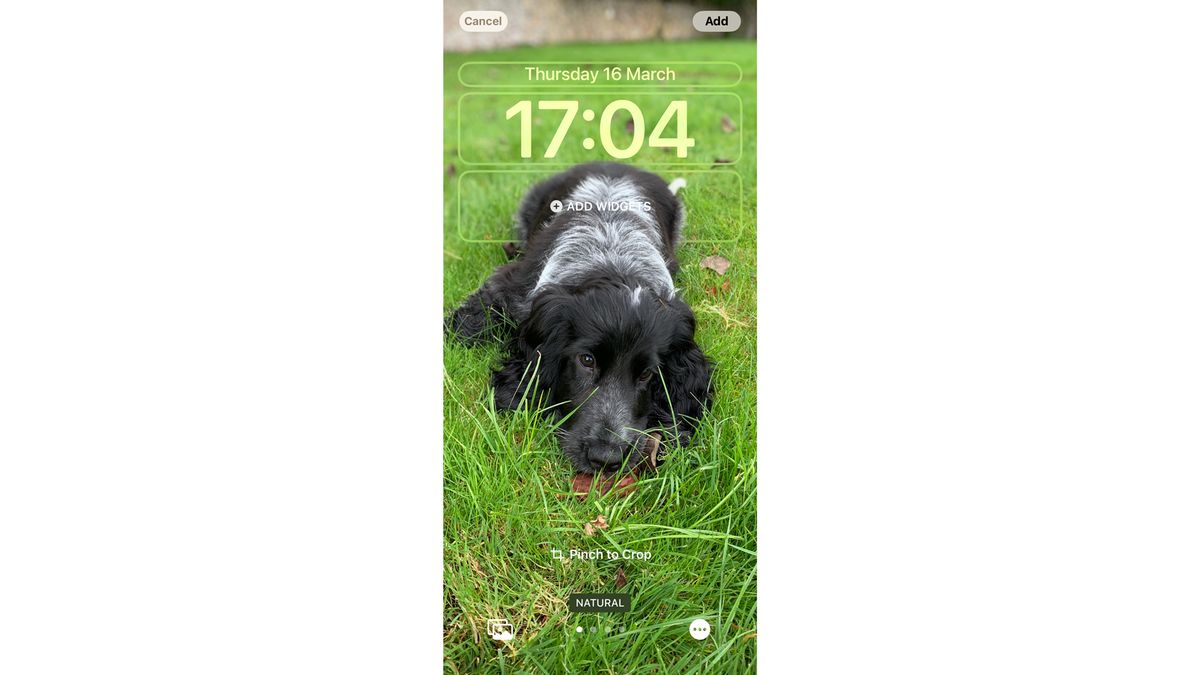 customise iphone home screen apps