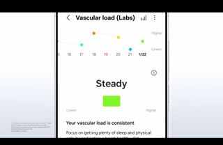 The Vascular load (Labs) submenu in Samsung Health that shows your heart's activity level from day to day, as well as a summary of the data: "Steady: Your vascular load is consistent. Focus on getting plenty of sleep and physical activity and eating a heart-friendly diet."