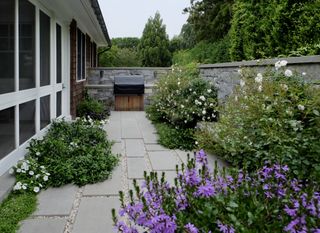 narrow garden ideas with purple and white flowers