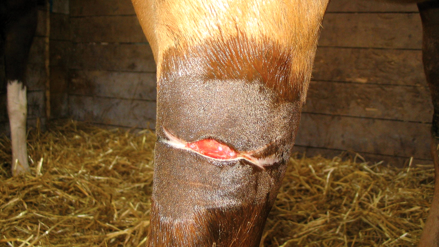 Wire-wound-KOB-RM.jpeg