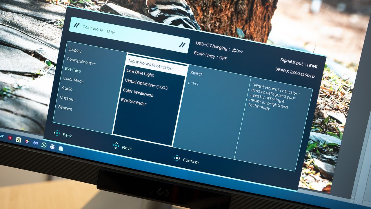 BenQ RD280UG programming monitor