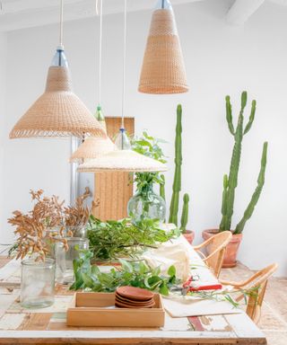 dining room with distressed wooden table, woven pendant lights and large cacti