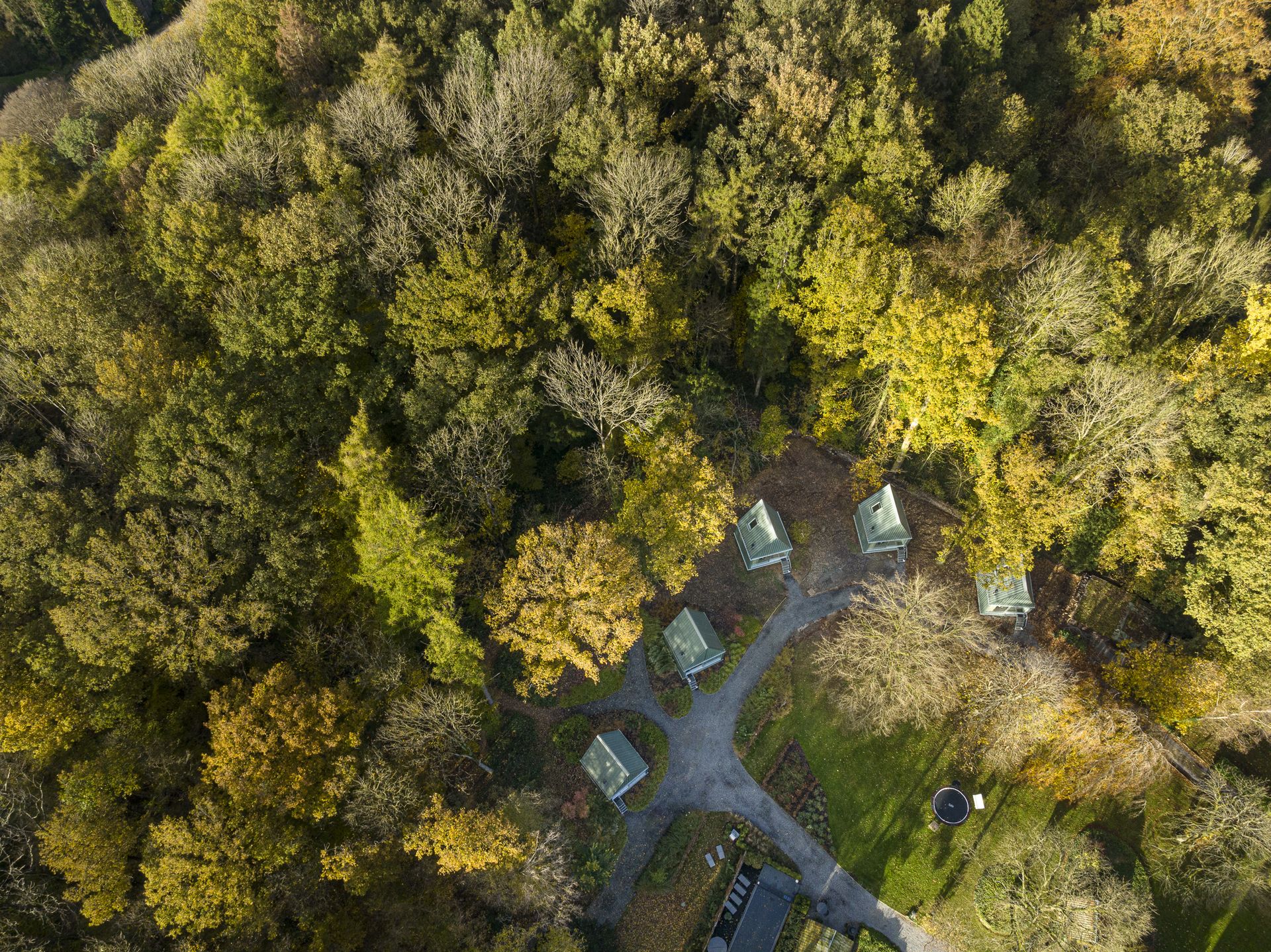 la roseraie modave chef marie trignon