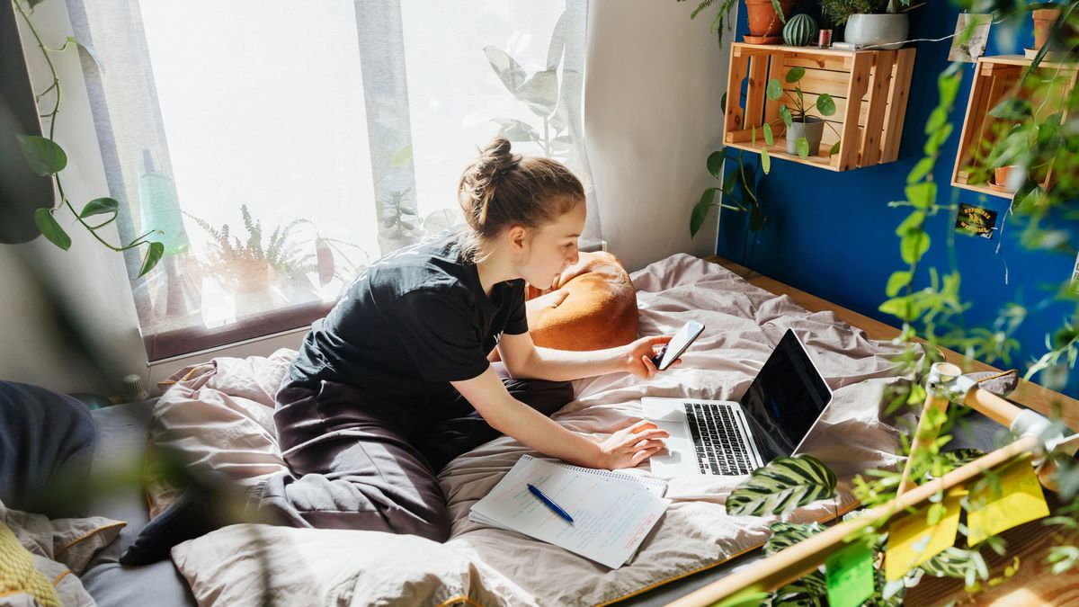 No te dejes engañar durante la vuelta al cole: estas son las estafas de Amazon que se dirigen actualmente a los estudiantes y a las que debes prestar atención