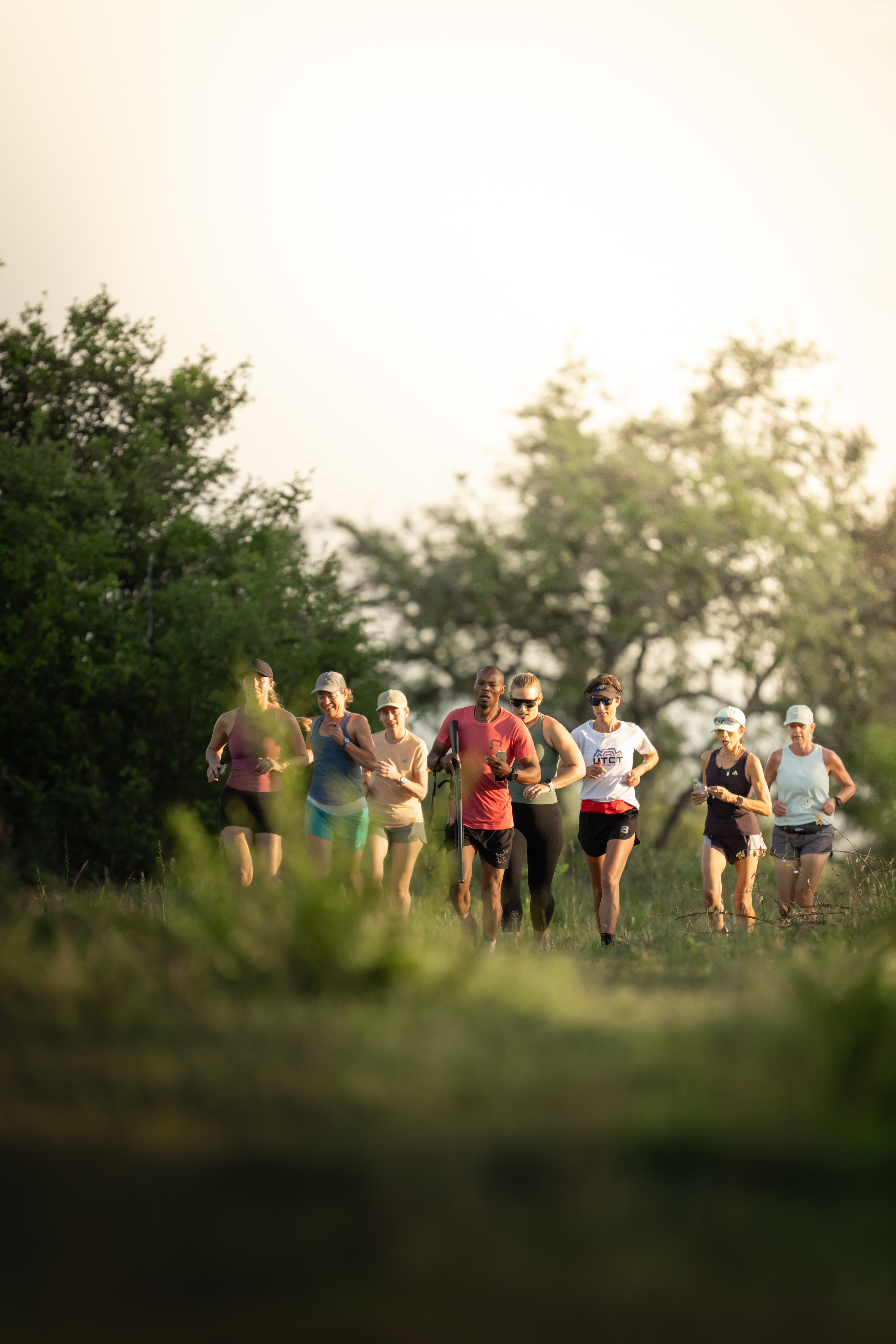 A series of sun-lit shots depicting the stunning wetland nature surrounding a luxury lodge resort.