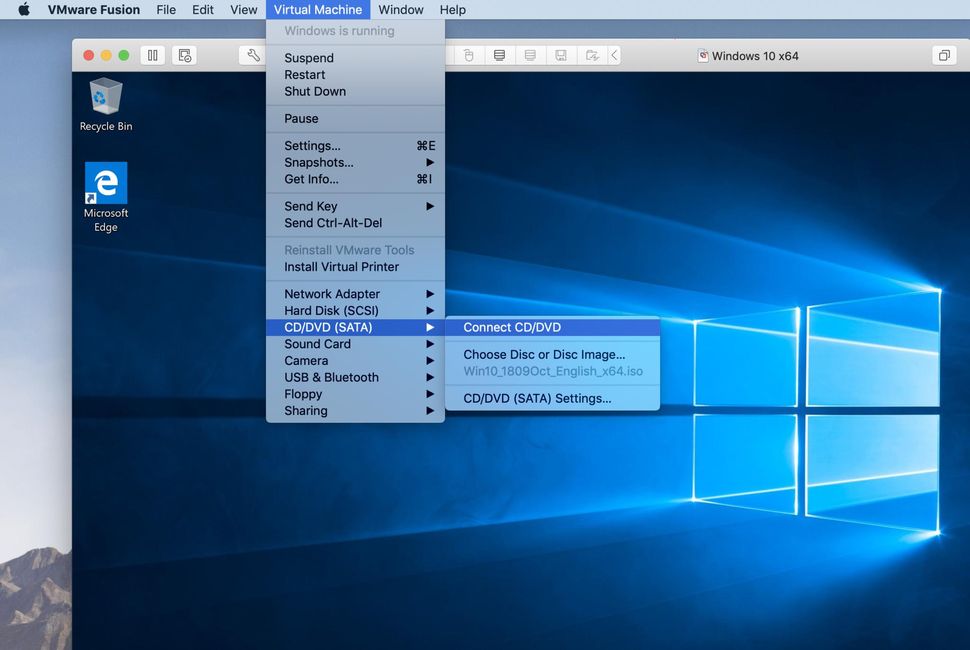 how to install windows on mac mini