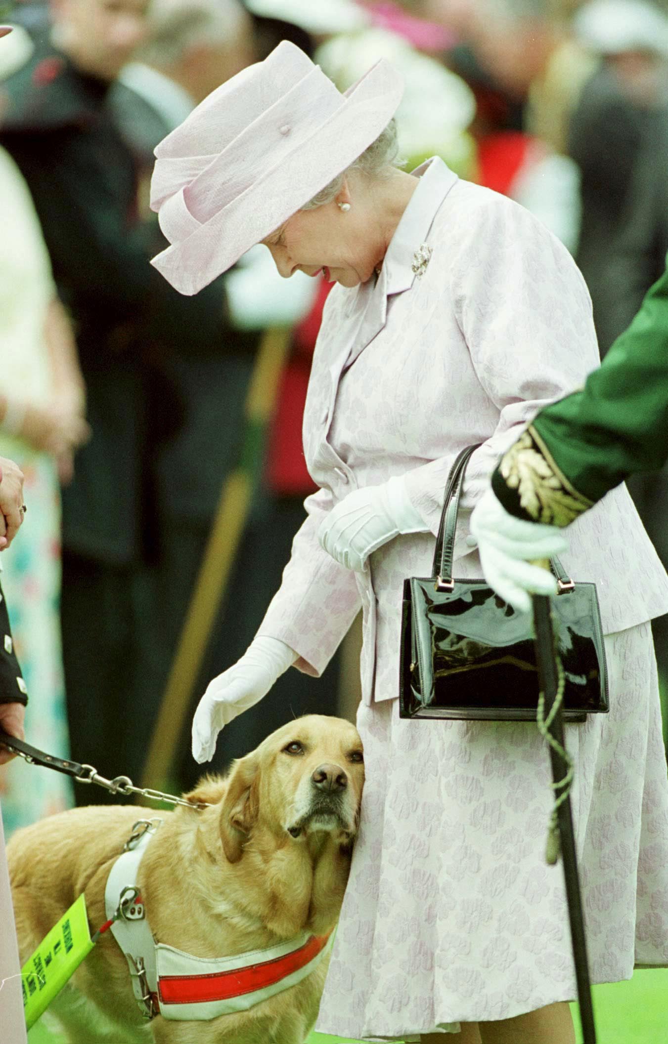 Queen Elizabeth petting a yellow lab
