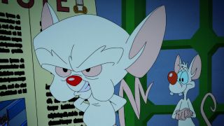 Pinky and the Brain on Animaniacs