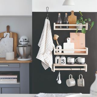 An IKEA kitchen with hanging bugs and a stand mixer