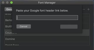 Paste Google Fonts code here to add it to Blocs.