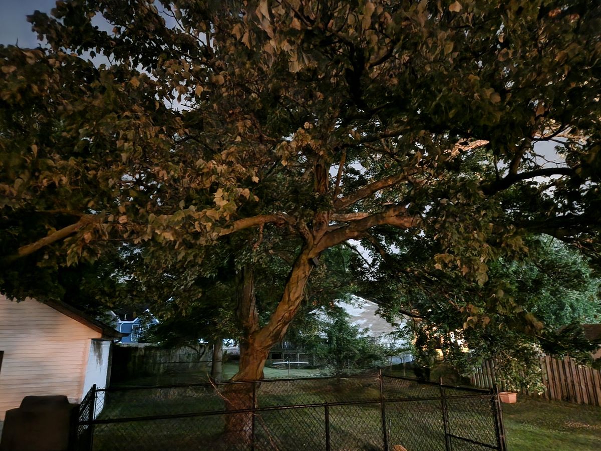 Samsung Galaxy Z Fold 4 low light sample.