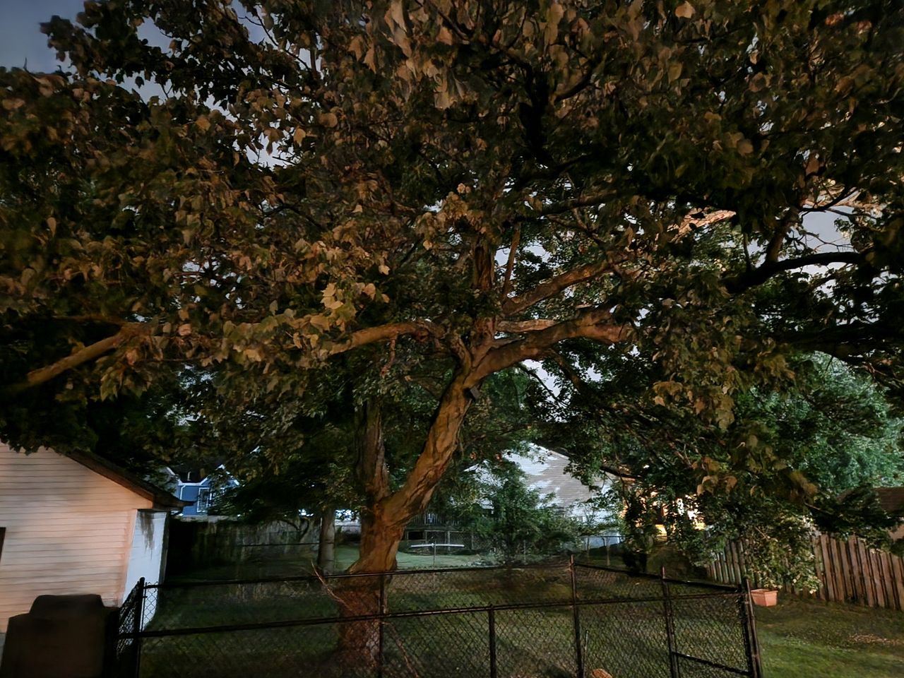 Samsung Galaxy Z Fold 4 low light sample.