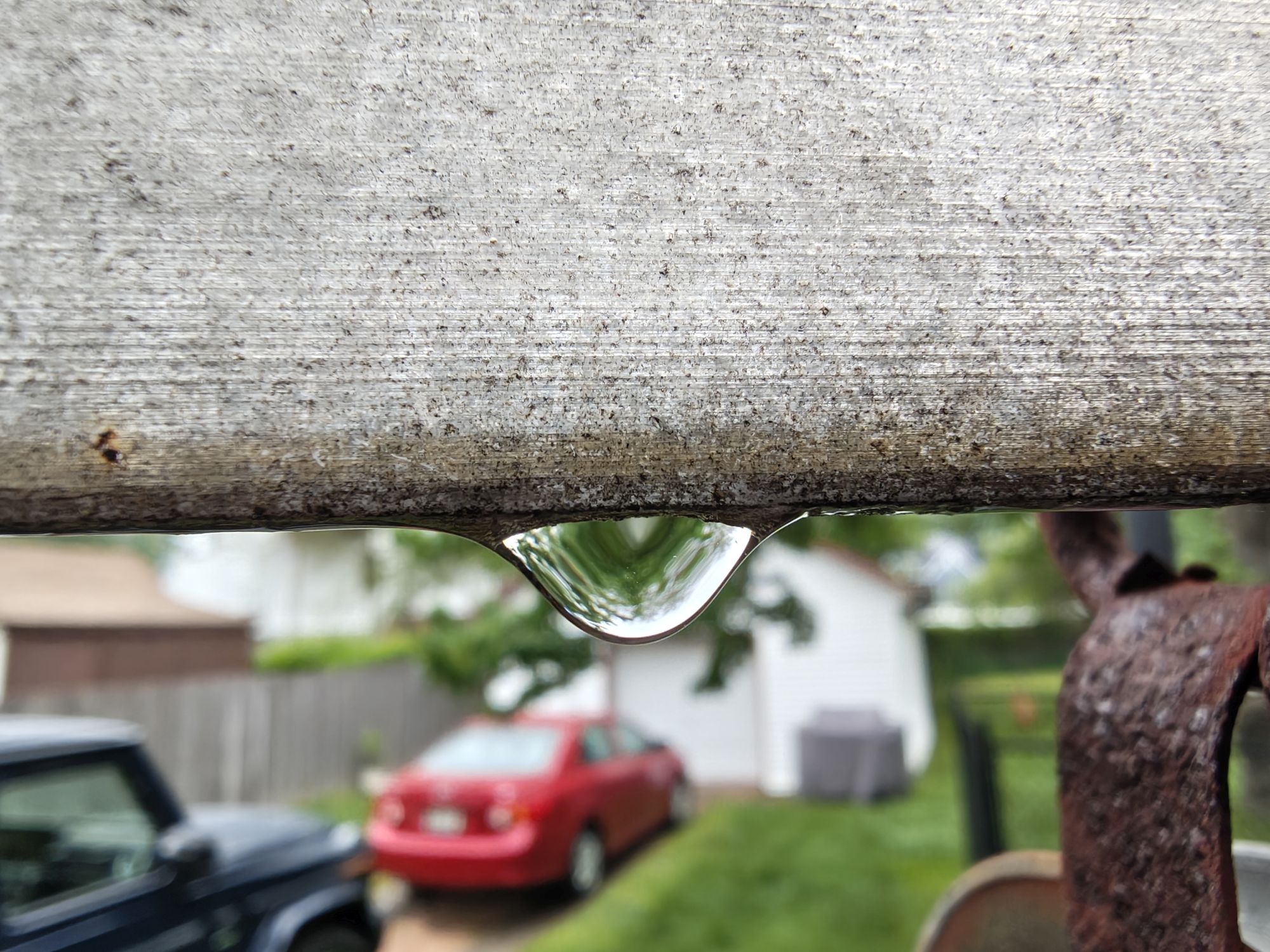 Motorola Razr Ultra 2025 macro sample.