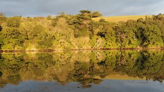 Roseland Peninsula: reflections in the water