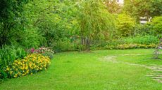 The Amazon backyard bug spray will keep your lawn pest free. Here is a green lawn with yellow and pink flowers around it and tall green trees above it, with a winding path