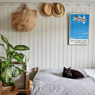 White panelled bedroom with bed, houseplant, cat, hanging wall art and bag
