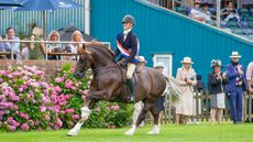 2024 RIHS young riders M&M supreme