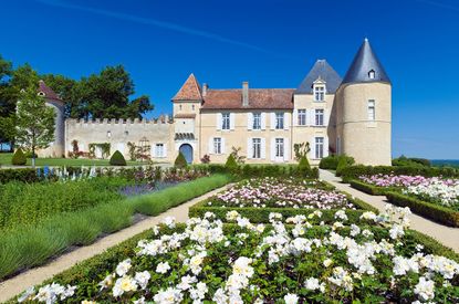 Ch&acirc;teau d'Yquem 2019