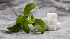 A stem and leaves of the herb Stevia rebaudiana, next to cubes of sugar on a fabric background