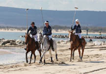Beachpolo.jpg