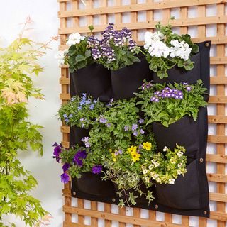 wooden trellis with black hanging pocket planter with flowers