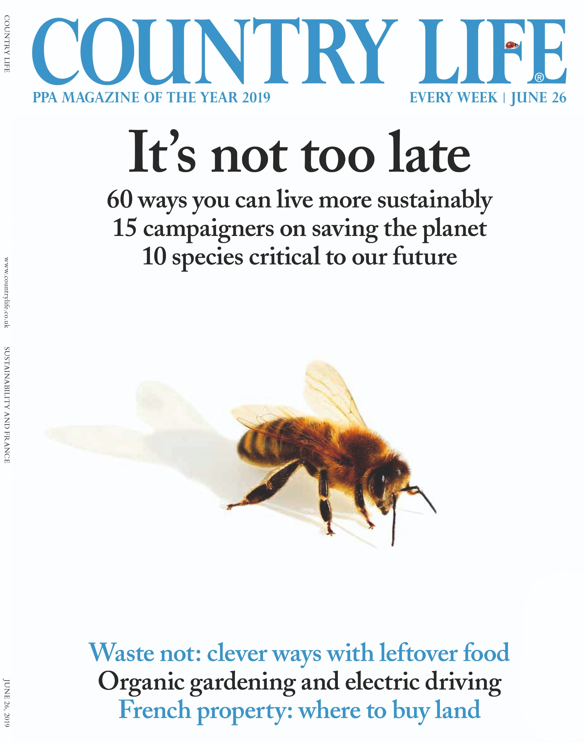 Bee front cover