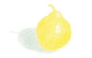 how to blend coloured pencils: drawing of a pear