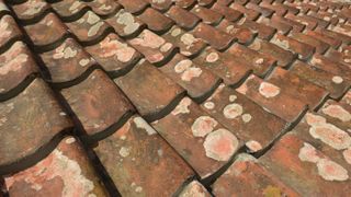 old pantile roof