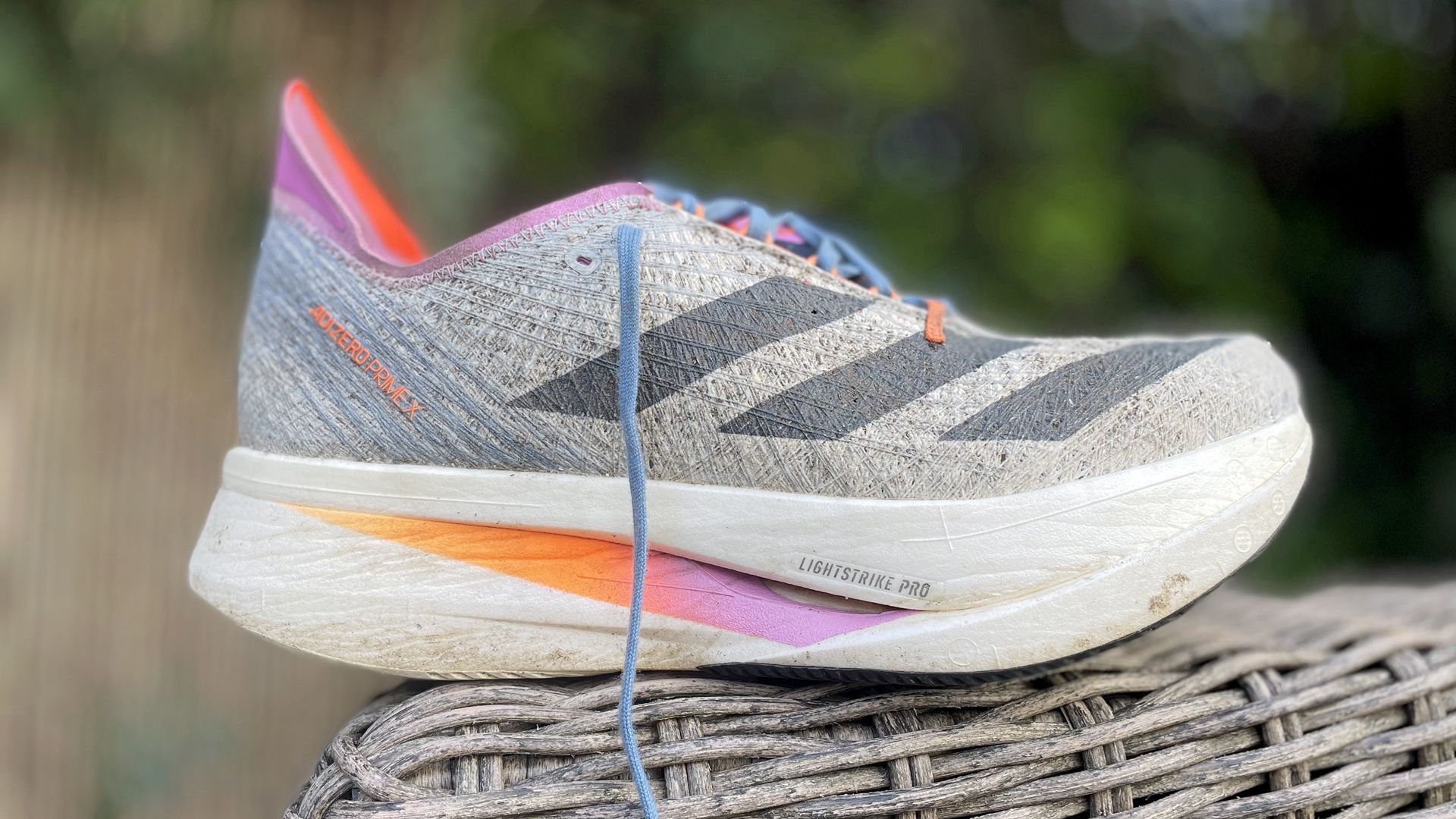 adidas gazelle silver green womens adidas Unisex Adizero Avanti XC Running Spikes - Flash Aqua main image 0