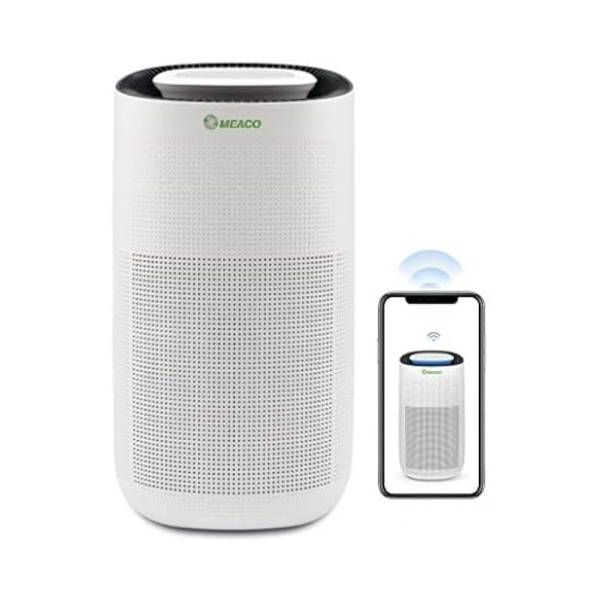 Best air purifier 2024 T3