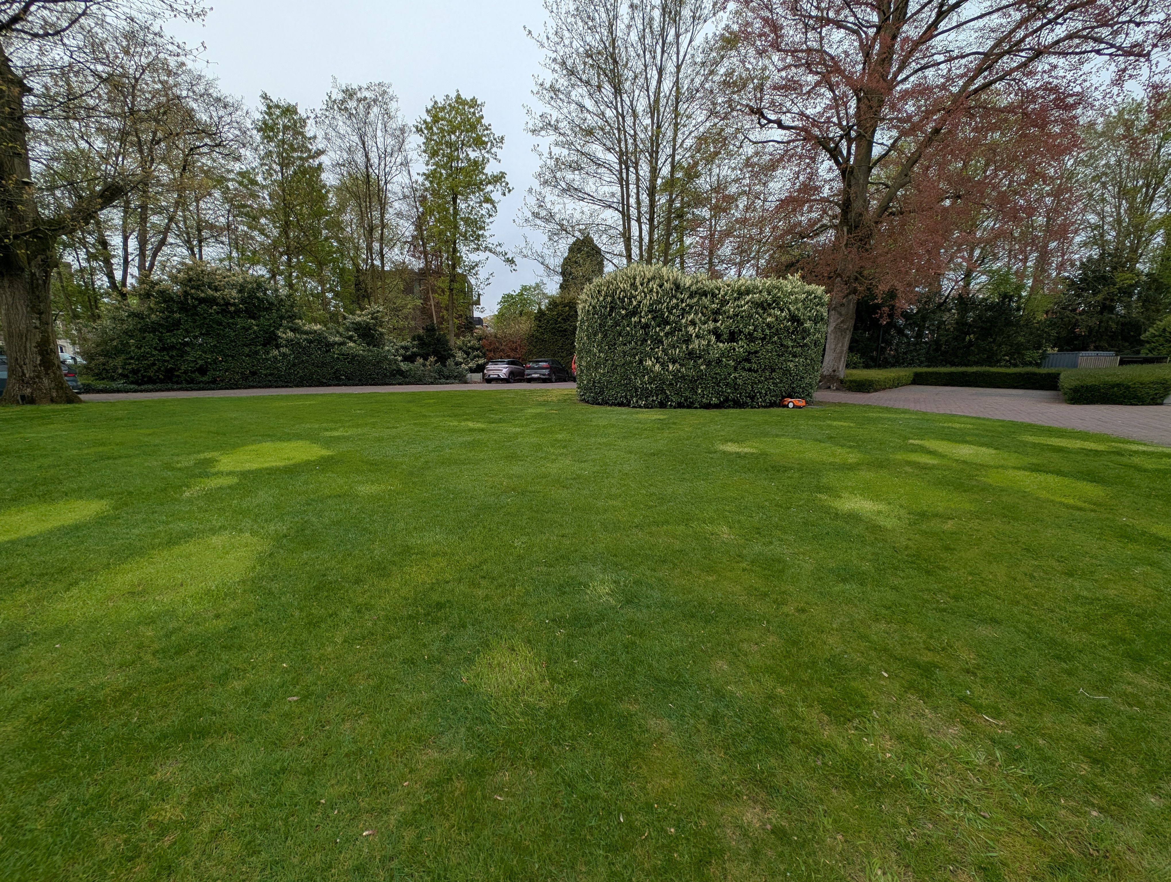 Google Pixel 8 Pro voorbeeldfoto